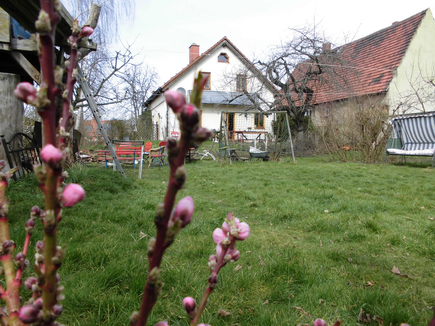Naturgarten